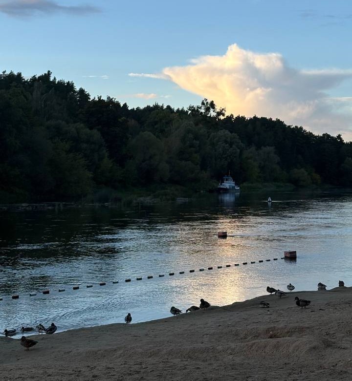 Як гей з Гродна ходзіць на спатканні ў сучаснай Беларусі