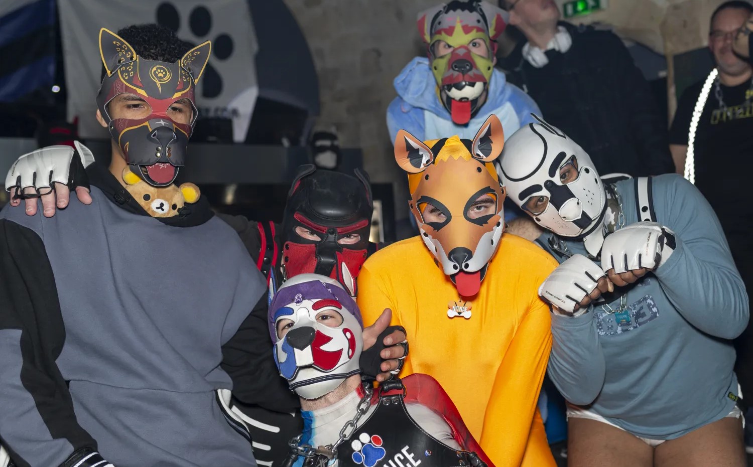 Pup & Furry: что происходило в сообществах в октябре